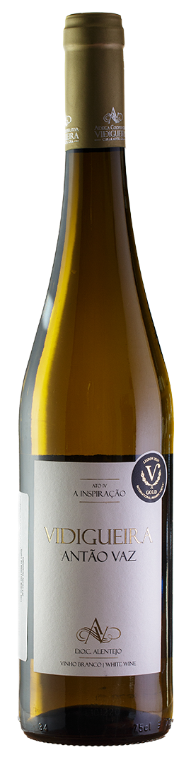 Vidigueira Antão Vaz